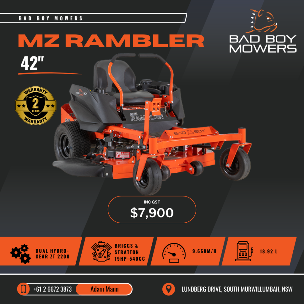 MZ RAMBLER